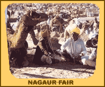 Nagaur Fair