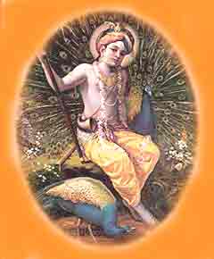 Krishna divine