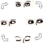 Different postures of eyes